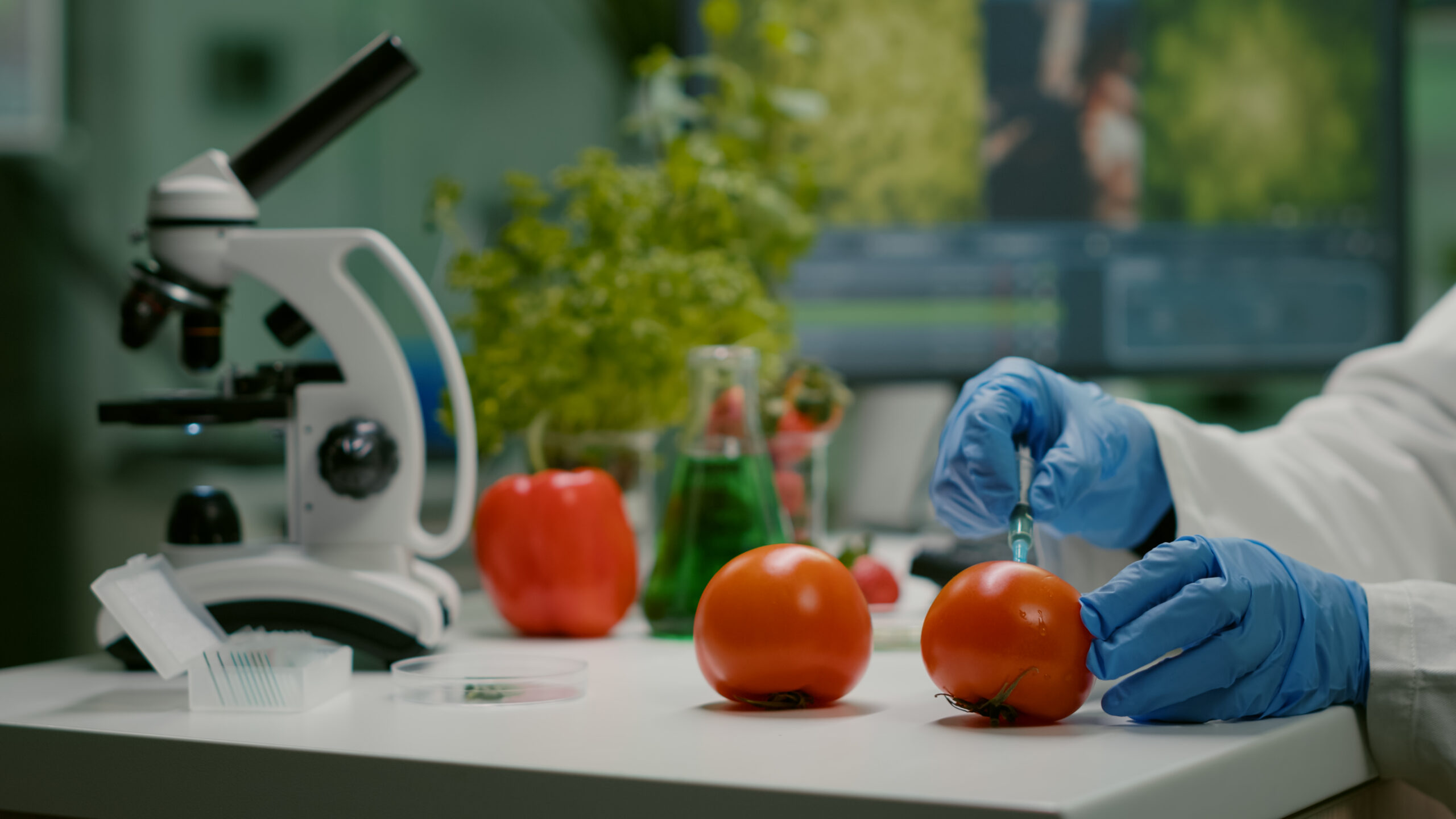 Cientista analisando tomates em laboratório com microscópio para identificar possíveis contaminações invisíveis em alimentos.