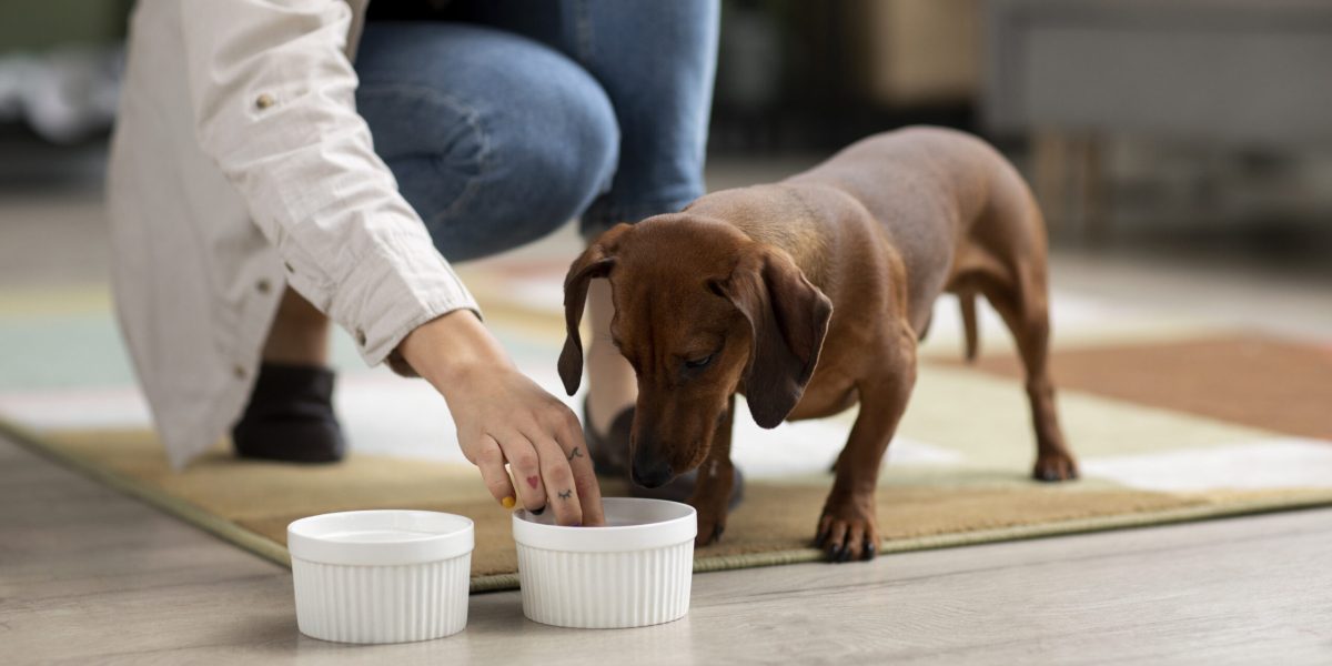 close-up-no-lindo-basse-comendo