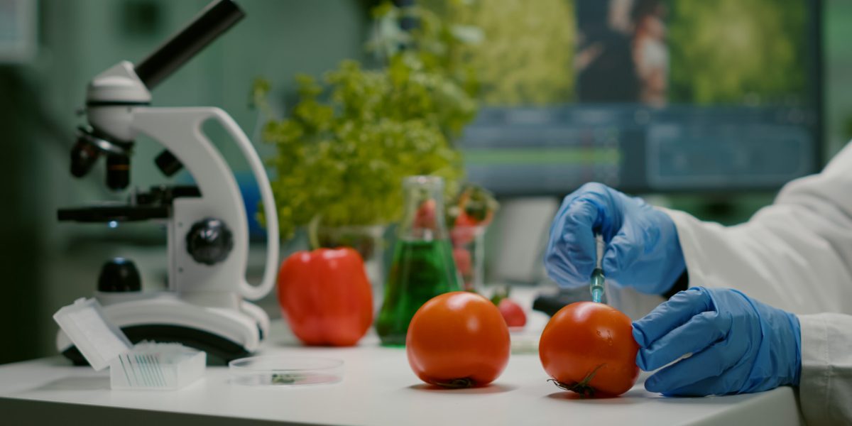 Cientista analisando tomates em laboratório com microscópio para identificar possíveis contaminações invisíveis em alimentos.